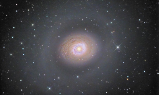 Die Galaxie M94